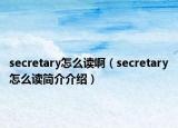 secretary怎么讀?。╯ecretary怎么讀簡介介紹）