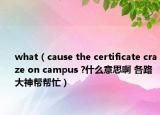 what（cause the certificate craze on campus ?什么意思啊 各路大神幫幫忙）