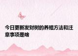 今日更新發(fā)財(cái)樹的養(yǎng)殖方法和注意事項(xiàng)是啥