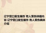 遼寧營口發(fā)生爆炸 有人受傷詳細內(nèi)容 遼寧營口發(fā)生爆炸 有人受傷具體介紹