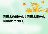 香蕉水也叫什么（香蕉水是什么意思簡介介紹）