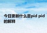 今日更新什么是pid pid的解釋