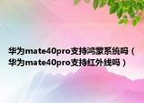 華為mate40pro支持鴻蒙系統(tǒng)嗎（華為mate40pro支持紅外線嗎）