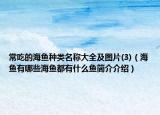 常吃的海魚種類名稱大全及圖片(3)（海魚有哪些海魚都有什么魚簡介介紹）