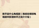 陳平是什么電視劇（陳曉在哪部電視劇中扮演林平之簡介介紹）