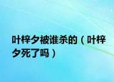 葉梓夕被誰(shuí)殺的（葉梓夕死了嗎）
