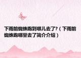下雨前蜘蛛跑到哪兒去了?（下雨前蜘蛛跑哪里去了簡(jiǎn)介介紹）