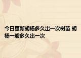 今日更新胡楊多久出一次樹苗 胡楊一般多久出一次