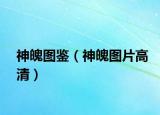 神魄圖鑒（神魄圖片高清）