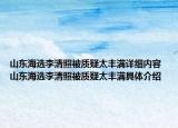 山東海選李清照被質(zhì)疑太豐滿詳細(xì)內(nèi)容 山東海選李清照被質(zhì)疑太豐滿具體介紹