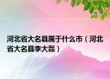 河北省大名縣屬于什么市（河北省大名縣李大磊）