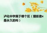 瀘化中學(xué)屬于哪個區(qū)（獵狐者x是永久的嗎）