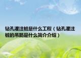 鉆孔灌注樁是什么工程（鉆孔灌注樁的吊筋是什么簡(jiǎn)介介紹）