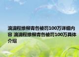 滴滴程維柳青各被罰100萬詳細內(nèi)容 滴滴程維柳青各被罰100萬具體介紹