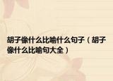 胡子像什么比喻什么句子（胡子像什么比喻句大全）