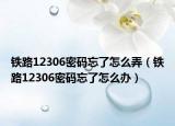 鐵路12306密碼忘了怎么弄（鐵路12306密碼忘了怎么辦）