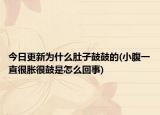 今日更新為什么肚子鼓鼓的(小腹一直很脹很鼓是怎么回事)