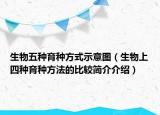 生物五種育種方式示意圖（生物上四種育種方法的比較簡介介紹）