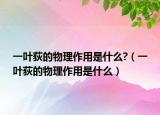 一葉荻的物理作用是什么?（一葉荻的物理作用是什么）