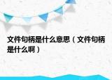 文件句柄是什么意思（文件句柄是什么?。? /></span></a>
                        <h2><a href=