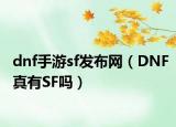 dnf手游sf發(fā)布網(wǎng)（DNF真有SF嗎）