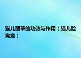 貓兒眼草的功效與作用（貓兒臉寓意）