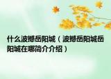 什么波撼岳陽(yáng)城（波撼岳陽(yáng)城岳陽(yáng)城在哪簡(jiǎn)介介紹）