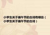 小學(xué)生關(guān)于端午節(jié)的古詩有哪些（小學(xué)生關(guān)于端午節(jié)的古詩）