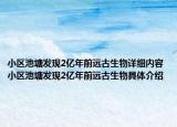 小區(qū)池塘發(fā)現(xiàn)2億年前遠(yuǎn)古生物詳細(xì)內(nèi)容 小區(qū)池塘發(fā)現(xiàn)2億年前遠(yuǎn)古生物具體介紹
