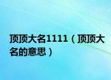 頂頂大名1111（頂頂大名的意思）
