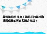 草帽海賊團 英文（海賊王的草帽海賊團成員的英文名簡介介紹）