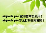 airpods pro 空間音頻怎么開（airpods pro怎么打開空間音頻）