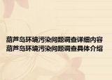 葫蘆島環(huán)境污染問題調(diào)查詳細(xì)內(nèi)容 葫蘆島環(huán)境污染問題調(diào)查具體介紹