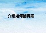 介紹如何捕捉獾