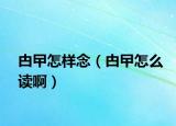 甴曱怎樣念（甴曱怎么讀?。? /></span></a>
                        <h2><a href=
