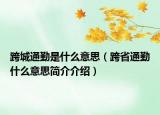 跨城通勤是什么意思（跨省通勤什么意思簡(jiǎn)介介紹）