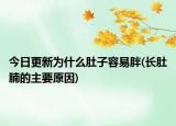 今日更新為什么肚子容易胖(長肚腩的主要原因)