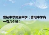 曹楊中學(xué)附屬中學(xué)（曹陽中學(xué)高一有幾個班）