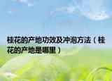 桂花的產(chǎn)地功效及沖泡方法（桂花的產(chǎn)地是哪里）