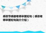 感恩節(jié)感謝老師辛苦短句（感恩老師辛苦短句簡介介紹）