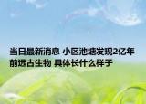 當(dāng)日最新消息 小區(qū)池塘發(fā)現(xiàn)2億年前遠(yuǎn)古生物 具體長什么樣子