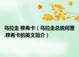 烏拉圭 穆?？ǎ趵缈偨y(tǒng)何塞.穆?？ǖ挠⑽暮喗椋? /></span></a>
                        <h2><a href=
