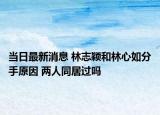 當日最新消息 林志穎和林心如分手原因 兩人同居過嗎