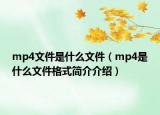 mp4文件是什么文件（mp4是什么文件格式簡介介紹）