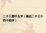 二十三是什么字（表達(dá)二十三十四十的字）