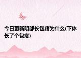 今日更新陰部長(zhǎng)包疼為什么(下體長(zhǎng)了個(gè)包疼)