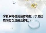 寧夏農(nóng)村信用合作聯(lián)社（寧夏紅盾網(wǎng)怎么注冊(cè)合作社）