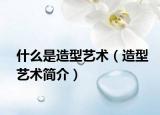 什么是造型藝術(shù)（造型藝術(shù)簡介）