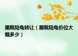 黑靴陸龜轉(zhuǎn)讓?zhuān)ê谘リ扆攦r(jià)位大概多少）