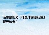 友情是陽光（什么樣的朋友屬于陽光伙伴）